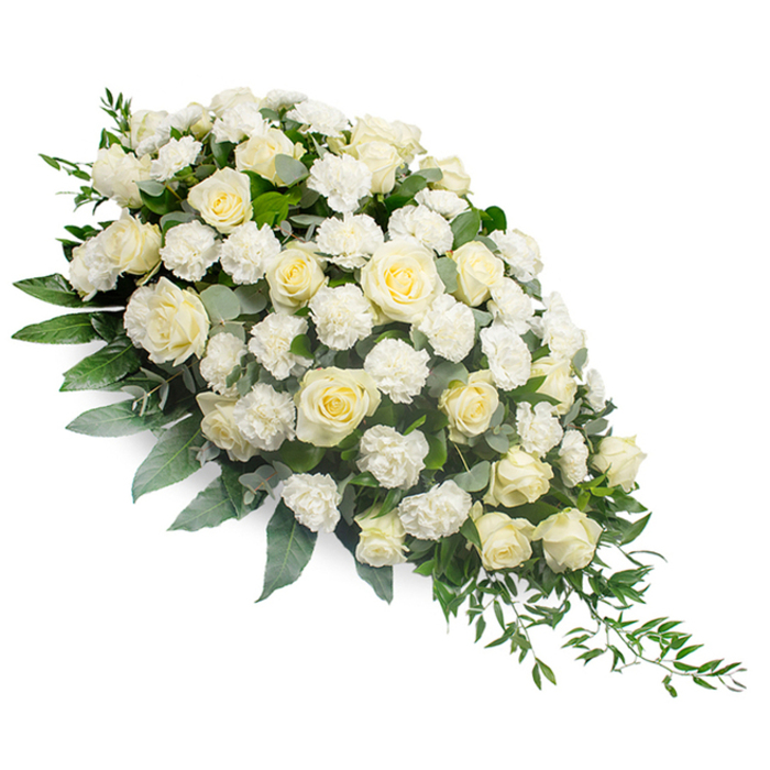 An opulent white funeral spray lies diagonally across a spotless white background, shaped into a soft crescent that is full and mounded at the upper left before gradually narrowing and trailing to the lower right. The entire design is built around a generous collection of roses in shades of white and ivory, each bloom meticulously positioned. Closed buds nestle beside half-open blooms, while fully opened roses reveal intricate swirls of velvety petals, each one capturing light and shadow in a way that gives the spray depth and dimension. Between these focal flowers, clusters of white carnations offer a delicate, feathered texture that fills gaps and creates a sense of continuity throughout the arrangement. The flowers rise from a carefully structured bed of greenery, including broad dark-green leaves for support and silvery-green eucalyptus to introduce a cool, tranquil note. Longer, arching sprigs of trailing foliage extend from the narrow end, accentuating the elongated form and lending a natural rhythm, as though the arrangement were gently flowing in one direction. The lighting is soft and even, accentuating the creamy tones of the roses and the muted sheen of the leaves, with no harsh shadows to disturb the feeling of calm. This kind of tribute would be thoughtfully chosen by families in Brent Cross for services in nearby Temple Fortune, Finchley, or at local memorial chapels. Created with the experience of local florists who understand how flowers can quietly express what words cannot, this white and green spray symbolises peace, purity, and enduring love, making it a fitting choice for casket adornment, church services, or graveside farewells across North West London.