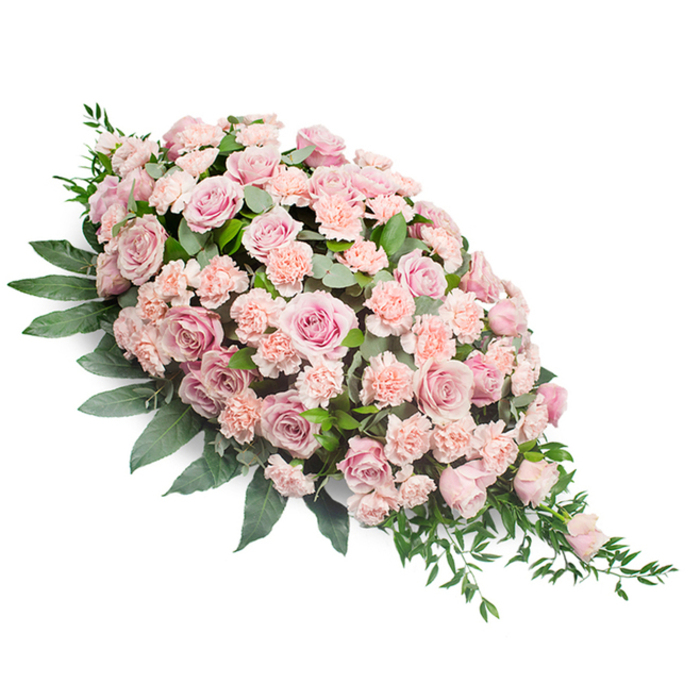 A long, tapered floral spray in shades of pink rests against a stark white background, its shape reminiscent of a classic casket spray or teardrop arrangement used for funeral and memorial services. The upper left section is generously filled with flowers, creating a gentle mound that gradually thins towards the lower right, where the design comes to a soft point. Throughout, soft pink and light peach-pink roses dominate, arranged closely so their velvety petals overlap and nestle into one another. Their hues range from barely-there blush to a slightly deeper rose, offering subtle variations that keep the design visually interesting without ever losing its calm, cohesive feel. Between the roses, light pink carnations weave in and out, their edges finely frilled and slightly curled, giving the arrangement an inviting, pillowy texture. Encircling and underpinning the flowers is a generous layer of deep green foliage. Broad leaves provide structure underneath and along the sides, while more slender stems and fronds reach outward, softening the outline and enhancing the tapered effect. The overall impression is one of peace and thoughtful care, like a quiet, floral embrace laid gently over a resting place. It is easy to picture this spray created by experienced florists in Brent Cross, perhaps arranged early in the day in a calm studio before being delivered to a nearby crematorium or place of worship along Hendon Way or near Temple Fortune. The composition's pastel tones and lush greenery embody sentiments of sympathy, love, and gratitude, offering bereaved families a refined, heartfelt way to honour a loved one's memory.