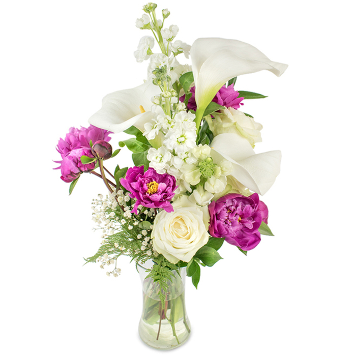 A tall, refined bouquet combining modern minimalism with lush garden romance: long, white calla lilies rise with quiet confidence, their satin-like trumpets curving to reveal pale yellow spadices that offer a subtle focal glow. Around their upright silhouettes, rich magenta peonies burst open in velvet layers-their many ruffled petals create a sumptuous texture that contrasts beautifully with the callas' sleek form. A single creamy white rose nestles close to the stems, its tight spiral suggesting sincerity and quiet affection amid the bolder blooms. Sprays of white stock thread upward, composed of many small blossoms that add gentle height and a soft, cascading texture, while delicate clusters of baby's breath float between the larger flowers like wisps of cloud. The greenery is deliberate and varied: feathery fern fronds provide a soft, lacy edge while broader, glossy leaves lend depth and structure, making the colours sing. The bouquet is contained in a softly curved clear glass vase; the waterline and visible stems give a feeling of freshness and true craftsmanship. Photographed on a clean white background, the contrast sharpens the colour story-perfect for weddings, anniversaries, or a special congratulations sent to friends near Golders Green or along Finchley Road. It reads as both celebratory and composed, a statement of thoughtful design and seasonal freshness that resonates with local tastes.