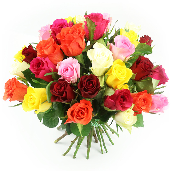 A lush, abundant bouquet of roses fills the frame, set against a bright white background that allows every colour and contour to stand out clearly, as if the arrangement had just been placed on a table in a Brent Cross living room. The roses are tightly clustered into a dome-shaped crown of blooms, with hardly any empty space between them, creating an impression of generosity and fullness. Deep crimson and burgundy roses give the design an anchor of classic romance, while lively yellow and warm orange roses thread through the arrangement, lending notes of cheerfulness and celebratory energy. Soft pastel pinks and stronger fuchsia shades intertwine gracefully, and touches of cream and ivory punctuate the mix, offering moments of calm light among the richer tones. Each rose is rendered in fine detail: the innermost petals curl inwards in delicate spirals, while the outer edges gently roll back, showing the flower at the height of its beauty. Between the blooms, glimpses of dark green foliage add contrast and suggest a freshly cut, garden-like character, as though the flowers have just been arranged by hand in a North West London florist close to the Brent Cross retail hub. The stems, even and straight, are gathered neatly at the base and wrapped with a green and white gingham ribbon, a subtle, homely accent that makes the bouquet feel personal and thoughtfully prepared. The lighting is bright yet soft, avoiding harsh glare and instead highlighting the velvety textures and subtle gradations of colour. This image conveys an atmosphere of warmth, generosity, and heartfelt emotion, making the bouquet well suited to birthdays, anniversaries, congratulations, or simply bringing a burst of colour to homes in Brent Cross, Hendon, and surrounding neighbourhoods.