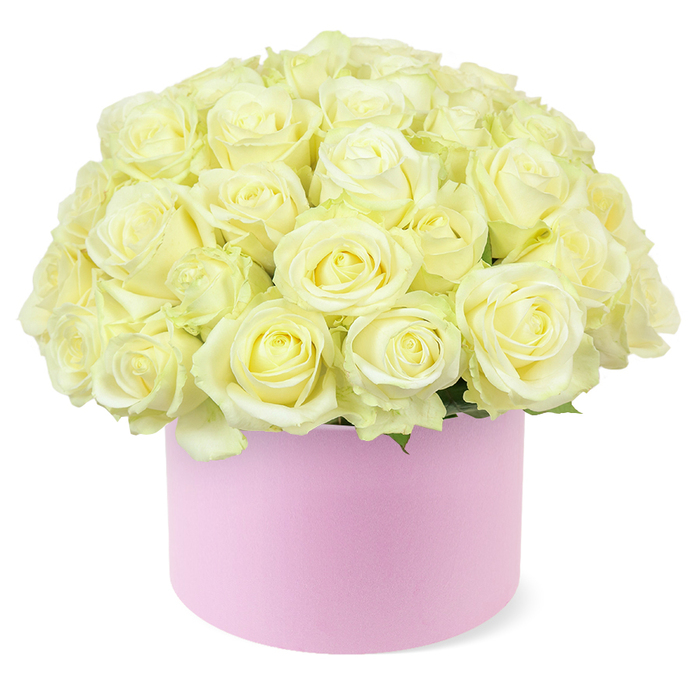 In this image, a generously full arrangement of roses rises in a perfect dome from a pastel pink hat box, the kind of statement piece often chosen for milestone anniversaries and heartfelt celebrations in Brent Cross. The roses are an elegant blend of soft cream and pale ivory, each bloom carefully placed so that its head nestles closely against the next. Together, they create a plush, almost cushion-like surface that appears both structured and cloud-soft. The petals are thick and velvety, arranged in classic spirals that widen gracefully towards the outer edges, with many flowers fully open and some still slightly cupped, suggesting they are freshly cut. A gentle hint of pastel yellow glows at the centres of several roses, adding warmth and depth that prevents the arrangement from feeling stark, yet keeps the palette serenely neutral. Small glimmers of green foliage are visible near the base, adding a measured touch of natural contrast. These features all rise from a cylindrical hat box in the most delicate shade of blush pink, with a smooth, matte finish reminiscent of fine gift packaging. The box's round form supports the airy abundance above, lending the design a contemporary, boutique feel. The arrangement is photographed against a clean white background, with soft, even lighting that accentuates the subtle interplay of cream, ivory, and blush tones. There are no other objects in view, ensuring the viewer's focus stays on the flowers and their elegant presentation. It is easy to imagine this hat box of roses waiting on a polished table in a Brent Cross apartment near the shopping centre, or arriving as a same-day delivery to a house off the North Circular, a refined gesture expressing enduring love, gratitude, or a cherished anniversary memory.