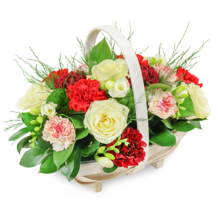 A tender and dignified funeral tribute is shown in this photograph: a floral basket that feels both comforting and composed, as if prepared for a quiet farewell in one of Brent Cross's chapels or family homes. The arrangement is anchored in a light-coloured wooden basket, its oblong shape constructed from slim, pale slats that curve smoothly into a softly domed rim. An arched handle rises from side to side, sturdy yet elegant, echoing the gentle curve of the flowers beneath. Small, subtle feet beneath the basket create a faint shadow, lifting the whole piece just enough to give it a sense of presence. Within this frame, the flowers form a rounded, abundant mound, full but not crowded. Several creamy white roses are arranged at varying heights, their petals fully opened in layered spirals that suggest calm, purity, and lasting affection. Interwoven with them are carnations in a rich, velvety red, their tightly ruffled petals building depth and drama while still maintaining a respectful tone. Some carnations display softer hues-pale pink and white petals traced with fine red or pink borders-bringing in a gentle, soothing touch, like a quiet conversation shared on a bench near Brent Cross Shopping Centre. Small clusters of delicate white blooms, likely freesias or similar flowers, break up the larger forms with their slender stems and bell-shaped florets, adding grace and a suggestion of fragrance. The structure is supported by deep green foliage: broad, glossy leaves hold the base, while fine, feathery sprigs rise and tumble over the edges, creating a soft, natural halo. The composition is lit evenly against a bright white background, allowing every texture and colour to stand out clearly. This floral basket would be fitting as a sympathy gift or a display beside a photograph at a memorial service around Brent Cross, Hendon, or Finchley, conveying gentle condolences and quiet respect.