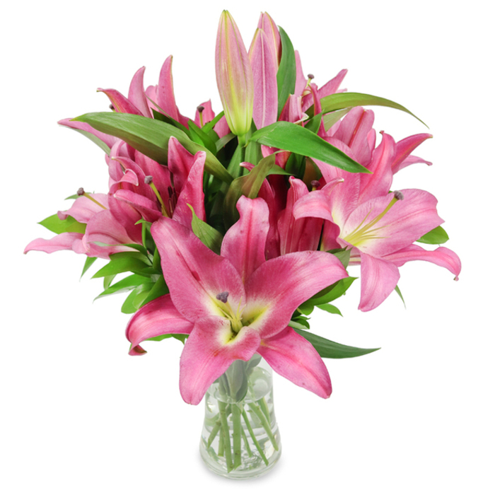 This striking arrangement of freshly cut pink oriental lilies is presented in a simple clear glass vase against a spotless white studio background, the kind of image we prepare for online galleries at Brent Cross Flowers. Dozens of open blossoms form a generous dome of saturated fuchsia and magenta, their broad, six-part petals gently curving to reveal lighter, creamy-pink to yellow-green throats. The throat colour shifts subtly into chartreuse that frames the centre, where dark burgundy stamens-bold and pollen-laden-create a dramatic, tactile contrast to the silky petals. Among the fully open flowers, numerous elongated buds at various stages-slender pale-pink pods to deeper fuchsia tips with tiny green accents-promise a staggered display and extended vase life. Deep green, lance-shaped leaves weave between the flowers, adding structural depth and a cooling counterpoint to the warm pinks. The vase's clear walls show trimmed, upright stems and bright water, a visual cue of careful conditioning and freshness that any local recipient in Brent Cross, Cricklewood, or Golders Green would recognise. The lighting is soft yet precise, revealing petal texture that seems almost touchable-waxy and satiny-while the imagined aroma is sweet and heady, quietly inviting. This bouquet reads as joyful and elegant, suitable for celebrations, Mother's Day, birthdays, or as a refined home accent, combining professional technique with the local character of NW London floristry.