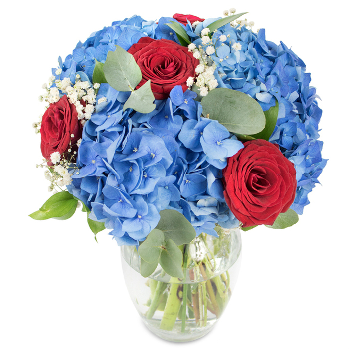 An elegantly balanced floral composition sits in a gently curved clear glass vase on a white surface, the lighting bright and even to reveal texture and hue: sweeping clusters of azure-blue hydrangeas create the volume and softness that anchor the piece, each cluster a mosaic of tiny petals forming a plush, cloud-like mass. Among those cool-blue volumes, three deep red roses stand out like small declarations of passion, their velvety petals still coaxing inward in compact spirals, offering a dramatic, tactile contrast. Sprays of delicate white baby's breath are interspersed throughout, their tiny blossoms reminiscent of distant stars and providing an ethereal counterpoint to the denser flowers. Complementing the blooms are rounded eucalyptus leaves in a muted green-silver, whose matte surfaces and soft scent bring an herbal, grounding note to the bouquet. The clear vase tapers slightly at the top, permitting a view of crisp, green stems immersed in water - a visual cue to freshness - while bright, natural light sculpts gentle shadows and highlights across the petals. As crafted by a Brent Cross florist, this arrangement reads as both celebratory and sincere: suitable for birthdays, anniversaries or as an elegant centrepiece for a meal in a home near Brent Cross Shopping Centre or a quiet flat on Claremont Road. It carries subtle fragrance and a composed, contemporary presence that invites touch and quiet admiration without overwhelming a room.