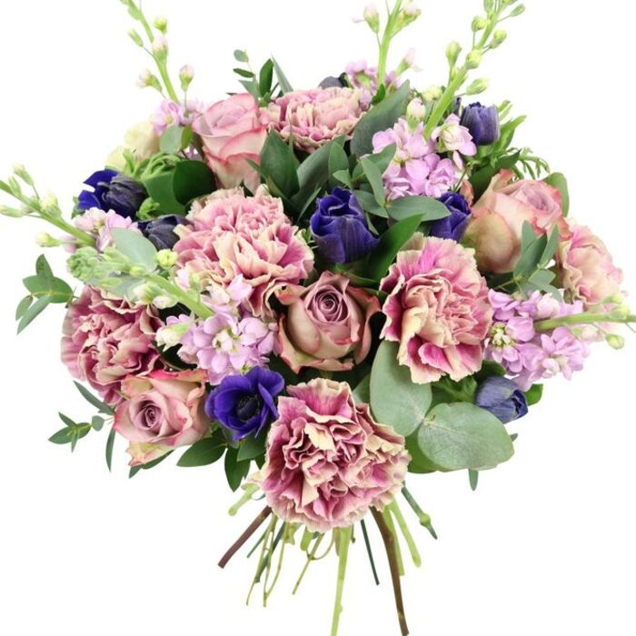 This image shows a luxurious, dome-shaped hand-tied bouquet set against a clean white background, giving it the feel of a studio portrait created to showcase fine floristry. In the centre, full garden roses in shades of blush pink, dusty rose, and antique mauve open generously, each bloom revealing layers of soft, velvety petals that speak of romance and care. Woven among these roses are large ruffled carnations, their many frills tinted from pale cream and blush at their core to deeper rose and plum around the edges, creating a sense of plush volume and a gentle rippling texture. Adding drama, clusters of deep indigo-blue buds, reminiscent of tightly closed tulips, peek between the softer tones, with a single, more open royal blue anemone near the front showing off its dark central disk like a polished button. Rising through the main body of the bouquet, slender spires of lilac and pale lavender stock are dotted with numerous tiny blossoms, introducing airy vertical lines and a delicate toughness that balances the softness of the roses and carnations. Around the floral heart, broad deep green leaves and rounded silvery eucalyptus form a generous collar of foliage, their contrasting finishes-glossy and matte-adding visual depth and suggesting the fresh, slightly herbal scent of eucalyptus mingling with sweeter floral notes. The stems are clearly visible below, neatly bundled and cut, emphasising that this is a freshly made bouquet, not a mass-produced design. It is easy to imagine this arrangement being carried out of Brent Cross Flowers and into a nearby home, ready to grace a dining table for an anniversary meal or brighten a living room for a birthday celebration or special gathering.