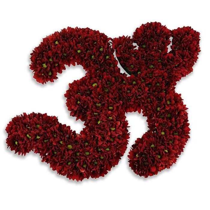 A bold, meticulously formed floral number '33' composed entirely from hundreds of tightly clustered, small button chrysanthemums in a deep, velvety burgundy red. The two separate numerals read with immediate clarity: each cluster of blooms is massed so closely that the surface appears plush and almost textile-like, the petals laying against one another to create a rich, monochrome field interrupted only by tiny bright green centres that sparkle like punctuation marks across the crimson plane. The piece is photographed against a flawless white background, where the colour saturates and the composition's silhouette becomes graphic; a soft, diffused grey shadow beneath gives a suggestion of lift and depth, as though the numerals float a hair's breadth above the surface. There is a tactile quality to the work - you can imagine running a finger lightly over the velvety heads, feeling their compact, slightly springy texture - and a faint, fresh chrysanthemum scent hangs in the imagination, clean and slightly herbaceous. This floral figure carries versatile meaning: a joyful thirty-third birthday, a significant anniversary, a sports jersey number set into a tribute, or a dignified commemorative marker. Locally, such an arrangement would suit celebrations held near Brent Cross Shopping Centre or a community event in nearby Golders Green and could be arranged for delivery across Brent Cross, Cricklewood, and other local streets. The overall mood is one of poised celebration and considered presence - elegant, substantial and crafted with the quiet expertise of a neighbourhood florist who understands how numbers can hold memory.