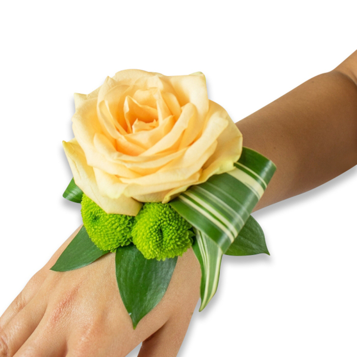 A refined floral wristlet designed for meaningful moments rests on the inner forearm, photographed with clean, bright light that lets colour and texture speak plainly. The focal flower is a large, fully blown rose in a soft peach or light apricot hue; its petals are layered and satiny, folding inward to a tender heart that invites a gentle touch. Nestled beneath and to the side are two vivid lime-green button chrysanthemums-small, almost spherical pom-poms whose clustered florets provide a lively, modern contrast to the rose's romantic form. Several broad dark-green leaves-salal or ruscus-frame the arrangement and create a lush, supportive bed, while a distinctive variegated leaf with white-green stripes is artfully folded and curved to trace the wrist's contour, adding architectural elegance. The piece sits against warm light-to-medium brown skin, the fastening kept out of sight so the composition reads as a seamless floral cuff. The scent is quietly floral with a fresh green lift, the tactile mix of velvet petals, crisp pom-pom texture, and smooth glossy foliage giving the wearer confidence. As Brent Cross florists we often prepare corsages like this for local halls and family celebrations, and it's the sort of piece you might see being worn on the way to a reception near Brent Cross Shopping Centre or while pausing outside Cricklewood Market for photographs-the sort of handcrafted accessory Brent Cross Flowers makes for neighbourhood weddings and formal nights across Brent Cross and nearby Hendon.
