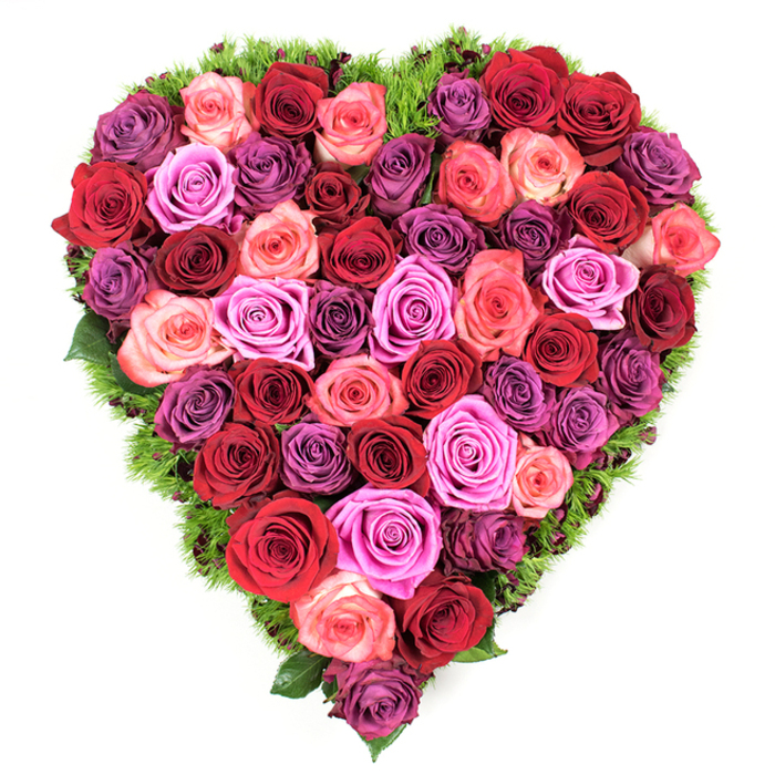 A perfectly symmetrical heart assembled from a dense mosaic of fully open roses fills the frame, presented on a clean white background so every colour and curve reads clearly. The design moves from the most saturated tones-deep crimson, rich burgundy and classic red-through softer blush and coral pinks, into bolder streaks of fuchsia and magenta. Subtle, cooler notes of lavender, mauve and plum are interspersed to add depth and a quiet, reflective complexity. Each rose head is at its peak, petals soft and velvety with slightly furled centers; the blooms are tightly packed edge to edge, giving the heart a lush, almost cushion-like topography. A delicate, narrow band of fine dark green foliage, reminiscent of maidenhair fern or moss, traces the outer edge and slips between some petals, offering a fresh, leaf-scented contrast and neatly defining the silhouette.

The arrangement conveys both exuberant devotion and gentle consolation: the layered colours and tactile density suggest passion and tenderness, while the green border whispers renewal and quiet hope. From the overhead viewpoint the patterning of hues becomes intentional and rhythmic, revealing the florist's hand in balancing warm and cool, light and shadow. Light caresses the petals to reveal satiny highlights and soft shading, and one can almost sense the faint, clean fragrance of freshly cut roses.

In the Brent Cross neighbourhood this type of heart-shaped rose piece is chosen for occasions that require a clear, heartfelt message-be it a romantic declaration on Valentine's, a loving anniversary gift, or a dignified memorial at a funeral. The arrangement's craftsmanship and textural richness make it a memorable emblem of affection, remembrance, and enduring care.