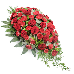 This image presents a refined sympathy spray in rich red tones, set clearly against a plain white background so every curve and leaf can be easily imagined. The arrangement is shaped like an elongated teardrop or casket spray, opening broad and full at the upper left and gradually narrowing to a soft point at the lower right, suggesting a gentle, one-directional flow. Deep red roses are the focal point, their velvety petals fully open yet still precise, forming deep, cupped blooms that radiate warmth and reverence. Between them, smaller red spray carnations and carnations unfurl in delicate, fringed layers, their ruffled edges adding texture and movement to the more structured roses. The colour palette is a harmonious chorus of reds, from wine-rich tones to bright crimson, evoking love, devotion and remembrance in a classic, timeless way. Surrounding this core of blooms is a base of lush greenery. Broad, dark green leaves create a strong silhouette, holding the shape of the spray and providing a calm, grounding background. Interspersed within are rounded, silvery eucalyptus leaves, their cool grey-green hue softening the intensity of the reds and introducing a peaceful, almost misty feeling. From the bottom right, fine strands of trailing foliage spill down and out, reinforcing the sensation of a cascading farewell. Imagined in the context of Brent Cross, this design might travel from a local florist near the shopping centre, along the Edgware Road or through Golders Green, on its way to a chapel or crematorium, bringing with it a sense of care, local craftsmanship and quiet consolation for those gathered to say goodbye.
