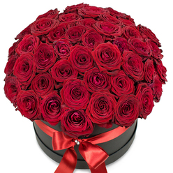 This enchanting image showcases a grand bouquet beloved by North West Londoners: dozens upon dozens of premium, deep red roses arranged in careful, artful symmetry. The flowers rise from a round matte black hatbox, each velvety bloom pressed closely to its neighbor, creating a lush dome that radiates romance and sophistication. The roses range from tightly wound buds to gently unfurling blossoms, their petals catching the ambient light and forming an interplay of shadows and highlights. Encircling the sleek black container is a wide, brilliant red satin ribbon, finished with an elegant bow and a sparkling crystal-gem accent at its heart-a refined flourish that recalls special gifts exchanged near Brent Cross Shopping Centre or along the quiet lanes of Golders Green. The pristine white background serves to accentuate the arrangement's sculptural form, making its passion-filled colours the undeniable focus. This creation, ideal for anniversaries, Valentine's Day, or dramatic expressions of love delivered within Brent Cross and its neighbouring communities, communicates both exuberance and intimacy. It is a perfect encapsulation of the artistry and heartfelt intention that local florists bring to special moments throughout the area.