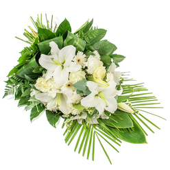 A serene, front-facing sympathy arrangement of white and green flowers rests against a pure white background, its composition moving diagonally from a generous top left to a slim, tapering lower right. The focal point is a cluster of striking white lilies, some fully open with wide, satin-like petals showing delicate green accents at their centres, others closed in elegant buds that suggest life continuing beyond the moment. Nestled among them are ivory and cream-toned roses in varying stages of bloom, from tightly formed buds to more open, cup-like shapes. White carnations, their ruffled petals giving a soft, cushioned look, and white Gerbera-style daisies with pale yellow or darker eyes contribute contrast and interest. Fine sprays of tiny white blossoms weave through the main flowers, adding a gentle haze and enhancing the sense of depth. A rich base of foliage anchors the piece, forming a lush green backdrop that sculpts the spray into its distinctive elongated form, suited to rest along a coffin or stand on a tribute stand in Brent Cross. Broad, dark green leaves catch the light with a quiet sheen, while airy fern fronds and rounded eucalyptus leaves in subtle blue-green tones create layered texture. Near the top, long, slim leaves are folded and bound with care, adding a contemporary, tailored note. From the lower right, numerous slender palm fronds fan outward, giving the arrangement its sweeping, modern silhouette. The gentle contrast of crisp white and fresh green conveys peace, reverence, and quiet comfort, echoing the calm of a reflective walk along nearby Brent Cross parks after a funeral or memorial gathering.