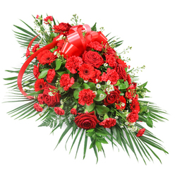 Displayed on a clean white background, this grand red funeral spray has an elongated, teardrop-like shape that gradually tapers at each end, perfectly suited to rest along a casket or serve as a central tribute in a Brent Cross chapel. At its heart, sumptuous red roses create a focal point of deep emotion, their velvety petals unfolding in layered spirals, some still in bud and others open wide, revealing rich, crimson centres. Interwoven between the roses, red carnations provide a soft, ruffled texture, their clustered petals forming rounded mounds of colour that add fullness and warmth. Scattered through the central mass are striking red gerbera daisies, whose broad, open faces and darker centres give a bold, modern feel, catching the eye like little bursts of light in the sea of red. Fine sprays of small white filler flowers, recalling baby's breath or tiny chrysanthemums, are nestled gently among the larger blooms, lifting the palette with delicate highlights. The arrangement is supported and shaped by a generous frame of lush green foliage: long palm fronds sweep outwards from the base and sides, creating a graceful, winged outline and giving the spray an elegant, flowing form that would complement services near Brent Cross Shopping Centre, Hendon Way, or local synagogues and churches. Beneath the palms, darker green leaves such as salal or ruscus pack closely together, forming a rich, verdant foundation, while feathery fern-like greenery softens the boundaries with intricate detail. At the upper portion, a vivid red satin ribbon is tied into a substantial bow, its smooth, glossy loops and trailing ends weaving naturally among the flowers. The result is a dignified, expressive tribute that conveys love, respect, and cherished remembrance for families gathering in and around Brent Cross.