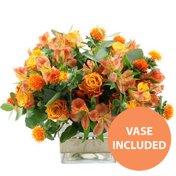Against a bright white background, this vibrant floral arrangement radiates the warm, easy cheer of a sunny afternoon in Brent Cross, translated into petals and leaves. The central blooms are rich orange roses, some with a subtle wash of yellow glowing from their centres, opening in generous swirls that feel both luxurious and inviting. Around them, clear yellow garden roses nestle closely, their neatly packed petals forming rounded, cushiony blossoms that echo the shape of classic English roses. Threading through the bouquet are alstroemeria in soft peach and light orange shades, each delicate flower marked with fine stripes and freckles of reddish brown along the inner petals, adding a sense of movement and detail. Small, spherical, spiky orange flowers-thistle- or safflower-like in appearance-peek out between the larger blooms, their bristly texture catching the light and adding visual contrast. A mix of lush greenery frames and supports the arrangement: silvery eucalyptus leaves with a satin-like surface curve outward, while darker, glossy green foliage fills in the background, making the warm colours stand out more vividly. The entire composition is arranged in a clear, square glass vase, revealing the bundled stems and clear water, enhancing the feeling of freshness you would expect from a same-day delivery around Brent Cross and nearby Hendon. Around the middle of the vase, a trim of natural burlap or jute is wrapped snugly, introducing a rustic accent that softens the crisp shape of the glass. In the bottom right corner of the image, a circular orange icon with bold white lettering states "VASE INCLUDED," clearly indicating that this is a complete, ready-to-display gift. The mood of the arrangement is joyful and welcoming, ideal for celebrating milestones, sending congratulations, or simply lighting up a living room near the North Circular.