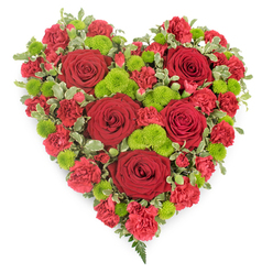 This image shows a meticulously arranged heart-shaped floral tribute, set against a clean white background that allows its rich colours and shapes to stand out clearly. The heart is dominated by a deep red palette, anchored by generously sized roses whose velvety petals curl inward at the centre and gently open outwards, creating a sense of depth and softness. Surrounding these roses, layers of red carnations and mini carnations fill every gap, their ruffled petals overlapping to give the heart a lush, cushion-like appearance. Bright lime-green button chrysanthemums are carefully dotted among the red, their small, domed heads made of countless tiny florets that provide a striking, contemporary contrast. Variegated pittosporum foliage encircles and weaves through the arrangement, the cream-tipped green leaves tracing the heart's outline and adding subtle lightness to the dense design. At the pointed base, a small spray of dark green fern fronds peeks out, echoing the kind of greenery that might catch your eye in the quieter corners of Brent Cross's residential gardens. The tribute feels both strong and tender, the classic heart shape and bold colours communicating deep affection, respect, and remembrance. Ideal for funerals, memorial services, or as a graveside tribute delivered to local cemeteries around Brent Cross, it reflects the care and craftsmanship of Brent Cross Flowers. The piece seems designed to accompany moments of reflection, much like pausing on a familiar route near the shopping centre or nearby parks to think about a loved one who remains forever in the heart.