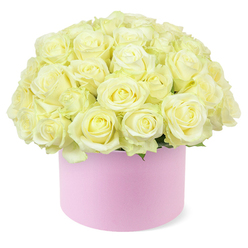 The photograph captures an opulent dome of roses presented in a soft pink hat box, a style that has become a favourite for romantic anniversaries and special occasions around Brent Cross. Dozens of roses, all in shades of creamy white and pale ivory, are packed closely together so that their rounded heads create a seamless, cloud-like surface. The petals are velvety and full, arranged in tight spirals that curl outward into gentle, layered edges. At the heart of several blooms, a delicate wash of pastel yellow can be seen, as if each flower holds a drop of warm light. This subtle variation in tone lends depth and interest to the arrangement without breaking its overall calm, neutral palette. A few discreet hints of green foliage peek out at the base of the bouquet, adding a quiet freshness that evokes a garden on a clear morning. The roses are gathered into a cylindrical hat box in a very soft, powder-pink hue, with a smooth, matte finish that suggests quality and care in its construction. Its simple, round shape supports the overflowing flowers above, forming a pleasing silhouette where box and bouquet feel perfectly proportioned. The scene is set against a pure white background, free from visual distractions, so attention falls entirely on the tonal interplay of ivory, cream, and blush. The even lighting highlights the softness of the petals and the graceful dome they create. It feels like the sort of sophisticated design that might be hand-delivered by Brent Cross Flowers to a townhouse near Hendon Way, a flat overlooking the busy junction by the shopping centre, or a family home towards Golders Green, carrying a wordless message of love, appreciation, and celebration.