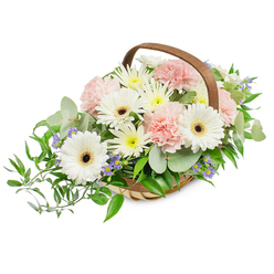An elegant hand-woven basket arranged with soft pastels and fresh greenery, photographed on a brilliant white background so every petal and leaf reads clearly. Prominent are several immaculate white Gerbera daisies, their broad petals circling dark brown, almost black centres that anchor the display with a clear, joyful purity. Nestled around them are frothy clusters of light pink carnations, their ruffled edges adding a romantic, tactile softness, while spray chrysanthemums in white and pale yellow fill the composition with a lush, comforting fullness. Tucked among the larger blooms are tiny blue-violet star-shaped flowers that introduce a whisper of cool colour and a hint of playful contrast. The foliage is deliberately varied for scent and sight: rounded, silvery eucalyptus gives a contemporary, aromatic note and glossy ruscus sweeps outward from the left, producing a gentle cascade beyond the basket's rim. The container itself is a rustic yet refined light-brown woven basket with a sturdy curved wooden handle that frames the bouquet and reinforces its handcrafted feel. The photograph's bright, even lighting brings out fine textures-the soft nap of carnation petals, the satiny Gerbera faces, and the matte sheen of eucalyptus-so the arrangement reads as lively and natural. As a local Brent Cross florist I know this composition is especially well suited to offer comfort, sympathy, or quiet celebration; Brent Cross Flowers prepares pieces like this for local delivery across Brent Cross, Cricklewood and nearby Hendon when a gentle, thoughtful impression is required.