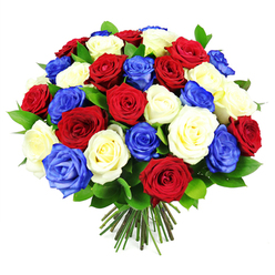 In this image, a hand-tied bouquet of roses in bold red, pristine white, and intense royal blue is presented as a lush, full dome, almost perfectly spherical in shape. The bouquet dominates the frame, with each rose head facing outward to create a unified, rounded surface of overlapping petals. The crimson red roses appear velvety and rich, their outer petals gently unfolding while the centers remain more tightly coiled, suggesting freshness and longevity. The white roses bring a sense of calm brightness, some leaning toward a creamy ivory tone that softens the overall look, while the royal blue roses provide a striking accent, their rare colour giving the arrangement a contemporary, eye-catching quality. Between the blooms, polished dark green leaves are strategically tucked, providing a natural framework and subtle contrast that stops the colours from blending into one. Beneath this dense canopy of petals, a clean cluster of stems, mostly green with slightly browned cut ends, is neatly gathered and tied, showing this is a carefully crafted hand-tied bouquet rather than a loose bunch. The bright white background keeps the focus squarely on the tri-colour roses and their sculptural form, with no additional props or distractions. The overall mood is proud, uplifting, and slightly formal, suitable for patriotic commemorations, remembrance services, or celebratory gatherings around Brent Cross, whether displayed in a home overlooking the North Circular, in a flat near Brent Cross Station, or at a small ceremony in nearby Cricklewood. It conveys a message of togetherness, gratitude, and dignified celebration, all articulated through the timeless language of roses.