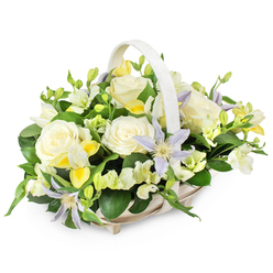 Here, a tastefully composed funeral flower basket is captured in clear, even light, allowing every detail of the craftsmanship to show. The pale wicker basket has a soft beige tone, its neat, woven texture and gentle oval-rectangular shape finished with a smooth, rising handle. It looks as though it could be carried into a service at a small chapel near Brent Cross or placed quietly on a windowsill overlooking the North Circular. The flowers inside form a full, rounded silhouette, with no empty gaps, only soft transitions from one blossom to the next. Dominating the central area are creamy white roses, fully open and flawlessly formed, their velvety petals creating calm, circular patterns that naturally draw the gaze. Interlaced with these are elegant clematis flowers, their star-shaped petals washed in pale lavender and periwinkle, each bloom anchored by a yellow-green centre that adds a touch of brightness and vitality. Around them, clusters of small, bell-like white and gentle yellow freesia-style blooms, some tight in bud, add fine texture and hint at a light, sweet fragrance. Hints of brighter yellow petals are scattered through the design, like soft rays of sunlight in a restrained, peaceful sky. The flowers are cradled by lush green foliage, with broad, dark leaves establishing structure and smaller, lighter green sprigs woven among the heads to create depth and natural movement. Against the simple white background, the arrangement's colours appear clear and composed, reflecting a mood of quiet respect and consolation. It feels perfectly suited to sending condolences to a family near Brent Cross, Golders Green, or Hendon, where a thoughtful floral gesture can offer comfort without the need for many words.