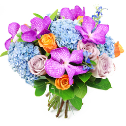 This elegant bouquet, photographed against a spotless white background, presents a carefully balanced play of colour and form. At the forefront are dramatic Vanda orchids, their petals saturated in magenta and rich fuchsia, each one dusted with a web of tiny white speckles that give them a textured, almost patterned finish, like the intricate fabrics you might browse in Brent Cross. These orchids rise among generous heads of sky-blue hydrangeas that create a rounded, cushion-like base. The hydrangeas are made up of masses of delicate florets, their overlapping petals forming a soft, billowing surface that feels restful to imagine, evoking the calm you find away from the busy traffic of the North Circular. Nestling between these larger blooms are roses in two complementary colour stories: vibrant orange roses with spiralling petals that suggest joy, enthusiasm, and celebration, and muted lavender roses that bring a tender, nostalgic note, perfect for gestures of affection that don't need a grand occasion. Smaller sprays of deeper blue flowers, resembling delphiniums, add spiky accents and draw the eye upwards through the bouquet, enriching the overall palette with their inky tones. Lush green foliage fans out along the edges, broad leaves polished with a natural sheen that frames the brighter colours and grounds the design in something fresh and organic. At the bottom, the stems are aligned and neatly tied, emphasising this is a hand-crafted, artisanal arrangement. It feels like the sort of bouquet Brent Cross Flowers would send out for same-day delivery, ready to brighten a family home in nearby Golders Green or a modern flat in Cricklewood with a sense of luxury and heartfelt care.