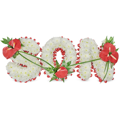 This image shows a beautifully composed floral tribute spelling out the word SON in strong capital letters, set against a bright, uncluttered white backdrop that highlights every detail. Each letter is built from a dense mass of pristine white chrysanthemums, tightly packed so that the surface appears soft yet structured, like a gentle white quilt of petals. The flowers suggest purity, peace, and a tender farewell. Around the outer edges of each letter, a vibrant red satin ribbon is carefully pleated into scalloped folds, following every twist of the 'S', the inner and outer lines of the 'O', and the upright shape of the 'N'. The ribbon's deep red hue and subtle sheen introduce a striking contrast against the white blooms, giving the word crisp definition. Three clusters of red anthuriums, known for their glossy, heart-shaped spathes and prominent spadices, act as emotional accents across the arrangement. On the upper left of the 'S', a generous spray of anthuriums sits among lush dark green foliage and delicate fern fronds, forming a strong starting point for the eye. At the base of the 'O', a single anthurium rests gracefully on the white flowers, like a quiet note of personal remembrance. On the upper right of the 'N', an abundant grouping of multiple anthuriums and rich greenery completes the composition, bringing visual balance. Fine strands of green foliage and stems drape gently over the letters, connecting the red focal points in an organic flow. This bespoke SON tribute, similar to those often ordered from Brent Cross Flowers for services around Hendon, Golders Green, and Cricklewood, is designed as a loving expression of grief and gratitude for a much-loved son.