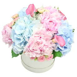 Brent Cross Flowers presents this bouquet in a smooth, understated cylinder, allowing every petal to sing against a crisp white field. The pastel palette-pale pinks and soft blues-radiates calm as peonies bloom with generous, ruffled petals, while hydrangeas form airy, spherical clouds that drift through the arrangement. Pale pink spray roses thread through, and tightly furled rosebuds lend texture and a quiet anticipation. Two trumpet-callas in deeper rose pink rise above the rest, one near the top-left and the other curving toward the bottom-right, their satin surfaces catching a glint of light.

The composition feels like a memory of a spring dawn, a soft reflection of an early-morning sky translated into petals. The scent is faint yet inviting; the roses offer a whispered sweetness, while the peonies lend a delicate, creamy perfume. The arrangement sits in a smooth cylinder that highlights its natural beauty, set against a pure white background that makes the colours sing. For a birthday, the arrival of a baby, or a gesture of reassurance, this bouquet offers a gentle, uplifting sentiment. In Brent Cross and surrounding neighbourhoods-Golders Green, Cricklewood, Hendon-our same-day delivery ensures the flowers arrive fresh and radiant, ready to brighten any space. Sprigs of dusty miller provide a silvery touch, and fresh green leaves ground the composition in modern luxury and everyday elegance.