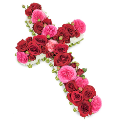 A beautifully composed Christian cross made entirely of flowers stands out clearly against a bright white background, capturing the solemn beauty of a funeral or memorial tribute. The body of the cross is thickly padded with lush red roses, each bloom opened wide to reveal layers of velvety petals in deep crimson tones, symbolising enduring love, honour, and respect. Nestled between these are generous fuchsia pink roses, their softer, more ruffled petals introducing a gentle warmth and a tender note of affection that lightens the overall mood without losing its formality. Scattered throughout, smaller rosebuds in coordinating reds and pinks create depth, their tighter shapes hinting at precious memories from different times of life. Framing the entire cross is a narrow band of tiny white flowers-likely miniature chrysanthemums or delicate spray carnations-placed close together to form a soft, lace-like border that highlights the familiar cross shape and evokes purity, peace, and spiritual comfort. Occasional glimpses of fresh green foliage peek out from under the roses, suggesting the skilled workmanship behind the arrangement while adding a quiet touch of natural vitality. The lighting is even and calm, bringing out the natural sheen of each petal and the distinction between the bolder reds, vibrant pinks, and gentle whites. This style of floral cross is popular with families around Brent Cross Shopping Centre, Cricklewood, and Finchley Road, often chosen to rest beside the coffin or stand near the lectern during a service, where it offers a visually powerful yet soothing message of condolence, faith, and loving remembrance.