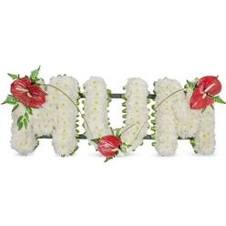 This poignant floral homage, crafted with the calm hand of a local Brent Cross florist, spells out MUM in elegant block letters composed of hundreds of small, immaculate white spray chrysanthemums. Each tiny bloom is selected for purity and packed densely to form a cushion-like surface that appears almost cloud-soft under morning light, yet remains structurally firm thanks to a subtle dark green framework that peeks out along the letter edges. To introduce a warm, emotive counterpoint three vibrant red anthuriums have been placed with careful intention: one on the upper left curve of the first M, another tucked into the base of the U, and the last positioned on the upper right of the final M. Their glossy, heart-shaped spathes and pale yellow spadices read like quiet declarations of love against the white field. Rich, varied foliage-feathered fern fronds, broader leaves, and slender arcing blades of grass-clusters around each anthurium and connects them visually as a single story of remembrance. The overall effect is one of solemn beauty, a design made to sit gracefully at a funeral service or memorial near Brent Cross Shopping Centre, Cricklewood Broadway or the North Circular. As a local florist I prepare these tributes with discreet care and attention to scent, texture and line; Brent Cross Flowers offers sensitive delivery in the area and guidance for families seeking a dignified expression of loss, love and respect.