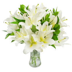 A refined and generous bouquet of pristine white lilies stands in a clear glass vase, photographed on a seamless white background so every detail is visible: layers of smooth, trumpet-shaped petals arranged with classic florist precision, each petal a brilliant, clean white that softens to a pale creamy-yellow in the flower's throat. The lilies' long stamens rise from the centers-slender pale greenish-yellow filaments topped with warm brown anthers-creating a striking, natural contrast against the pale petals. Deep green, lanceolate leaves are woven through the cluster of blooms, their glossy surfaces catching light and giving the arrangement depth and sculptural weight. The vase has a gently flared neck and a sturdy base; the clear water within reveals the straight, trimmed stems and adds a glassy sparkle that suggests recent care and bucket-fresh conditioning. Imagine the gentle perfume of lilies filling a quiet room, a soft, powdery scent that calms and uplifts at once. The overall effect is one of serene elegance-equally at home as an understated centrepiece at a refined gathering or a dignified floral tribute for times of remembrance. As a local florist serving Brent Cross, Hendon and nearby Cricklewood, Brent Cross Flowers crafts arrangements like this for customers seeking tranquil, sophisticated blooms; we deliver across the neighbourhood, mindful of presentation and the calming presence these white lilies bring.