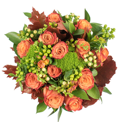 From a top-down vantage against clean white, this autumnal arrangement reads like a small seasonal landscape curated by a local florist. Numerous large roses dominate the centre, each blossom graduated from soft peach and coral at the heart to deeper orange and russet tones toward the outer petals; several petals bear a warm reddish-rust edge, adding the kind of colour shift you see on leaves walking through Golders Green in October. Interspersed among the roses are clusters of Hypericum berries - vivid lime-green and delicate creamy-yellow - their smooth, round forms offering bright punctuation and a playful tactile contrast. Low, cushiony heads of Green Trick dianthus introduce a mossy, almost architectural texture, softening the silhouette and drawing the eye across the composition. Broad glossy greens provide a lush backdrop while smaller, matte foliage adds dimensional layering; strategically placed dark burgundy-brown leaves, like dried oak pieces, ground the palette and heighten the season's warmth. The bouquet is densely packed and circular, lit by soft, diffuse daylight that makes the velvety roses gleam and the berries glint. You can almost sense the bouquet's light fragrance - a dusty rose note blended with green, earthy undertones - that suits a mantlepiece or a Thanksgiving table. As arranged here by Brent Cross Flowers, it's designed to feel both sophisticated and homey, ideal for delivering seasonal warmth across Brent Cross, Hendon and nearby Temple Fortune with care and local knowledge.