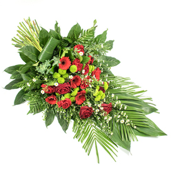 Shown on a crisp white background, this long, tapering sympathy spray has the serene presence of a final farewell thoughtfully arranged by a skilled florist. Its form sweeps from a taller, structured top into a soft, pointed base, reminiscent of a graceful leaf or a gentle flame. At the heart of the piece, deep red roses with velvety petals cluster together, some open wide to reveal their intricate centres, others still held in tight buds, giving a sense of time, memory, and continuity. They are joined by bold red gerbera daisies with darker eyes and frilled red carnations, building a richly textured, crimson focal area. Woven through this core, bright lime green chrysanthemum pompons punctuate the design, their small, rounded blooms offering sharp contrast and a fresh, modern lift. Light touches of tiny white filler flowers, like gypsophila or miniature daisies, appear here and there, casting a delicate, cloud-like lightness over the stronger colours. The blooms sit within a generous frame of layered greenery: broad, glossy salal leaves form a dark green base, while airy leatherleaf fern and other mixed foliage introduce fine, feathery textures. At the lower right, several long, flat green leaves are fanned out, accentuating the elongated line and gently guiding the gaze. At the upper left, a vertical bundle of tall, straight green stems or leaves, neatly gathered together, rises from the arrangement, with one broad leaf wrapped smoothly around them in a contemporary flourish that adds height and poise. This kind of arrangement, familiar at services around Brent Cross, local synagogues, churches, and crematoria, feels quietly reassuring, a composed floral tribute suitable for a casket, a display stand, or a memorial table.