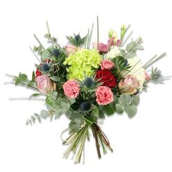 Set against a stark white field that amplifies every hue and surface, this hand-tied bouquet reads as a study in contrast and texture. At its centre sits a plush, lime-green hydrangea-its many tiny florets creating a soft, clouded mass that anchors the composition. Around it, a mix of roses moves from deep, velvety crimsons to delicate pastel pinks and creamy tones, their layered petals suggesting classic romance and quiet refinement. Sprinkled through the arrangement are coral-pink carnations with ruffled edges, introducing playful warmth and tactile variety, while several blue-grey Eryngium thistles provide a modern, sculptural note with spiky, sea-holly heads. The foliage palette is rich: rounded, silvery eucalyptus leaves offer a muted, aromatic backdrop, and long, thin grass-like stems or filler foliage lift the silhouette and provide airy direction. The stems are neatly gathered and tied with a natural-fibre tie, the fresh green cut ends visible and honest about the bouquet's craftsmanship. Bathed in gentle daylight, each colour-chartreuse, blush, coral, ruby and steely blue-feels vivid but balanced. As a florist who knows the local rhythm from Brent Cross to Cricklewood and Golders Green, I imagine this bouquet delivered to a home after a stroll through the market, chosen for anniversaries, celebrations, or simply to share warmth with a neighbour. It strikes a balance between rustic freshness and refined design, offering scent, softness and structural intrigue in equal measure.