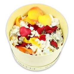 Centred in a bright, uncluttered frame, a pale cream cylindrical box sits against a flawless white background, filled to overflowing with a rich confetti of dried petals and tiny blossoms. The hatbox, sturdy yet elegant, appears to be crafted from matte paperboard, with the faint outline of the word FLOWERS circling its upper edge like a discreet signature. The camera captures the arrangement from a slightly overhead perspective, emphasising the fullness of the contents. Deep red rose petals are the most striking element, their velvety surfaces and natural folds collecting soft shadows that lend depth and quiet drama. Nestled among them, yellow petals and warm peach-orange tones add gentle brightness, reminiscent of late afternoon sunlight catching the tops of trees and buildings around Brent Cross. Interlaced throughout this warm palette are numerous small, dried hydrangea florets in white and the palest powdery blue. Their papery texture and clustered form give the arrangement a light, feathery quality, like tiny clouds resting on a bed of roses. The petals appear carefully selected and preserved, each holding its shape and subtle colour variations, suggesting a blend created with care and respect. This thoughtfully balanced mix would suit a range of farewell rituals: scattering at a funeral service, surrounding a memorial candle, or offering guests a simple, natural gesture of remembrance. The stark white background strips away all distraction, encouraging the viewer to focus entirely on the tender interplay of colour and texture, and on the quiet comfort such a box of petals could bring to families marking a loss in Brent Cross.