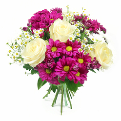 This image shows a vibrant, carefully composed bouquet set against a pristine white backdrop, the simplicity of the background ensuring all attention rests on the flowers themselves. Dominating the arrangement are several large roses, their petals a smooth blend of creamy white and very pale lemon, fully open to reveal deep, spiralling centres that convey refinement and warmth. Around them, generous clusters of bold fuchsia-magenta chrysanthemums fill the bouquet with vivid colour, each bloom marked by a striking yellow-green centre that seems to glow under the soft lighting. A few smaller chrysanthemum buds in richer purple-pink tones peek out from between the open flowers, creating depth and an organic, garden-like rhythm. Laced throughout are light sprays of tiny white daisies, their neat yellow centres and fine petals adding a fresh, slightly rustic charm, like flowers picked from a hedgerow near Brent Cross's quieter green spaces. The entire arrangement is supported by a backdrop of lush green foliage, with different leaf shapes and textures overlapping to frame the brighter blossoms and add visual richness. At the base, the stems are carefully drawn together and wrapped in a green and white checked ribbon, suggesting this is a hand-tied bouquet prepared with care, just ready to be taken out for delivery around Brent Cross and the surrounding North West London neighbourhoods. The lighting is bright yet gentle, revealing the detail in each petal and leaf, and the overall mood is one of cheerful generosity, making this bouquet suitable for celebrations, thank-you gestures, or simply sending a splash of colour to someone's home.
