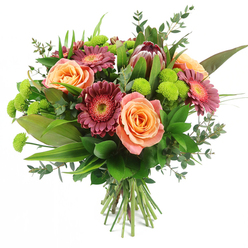 Captured against a clean, bright white backdrop, this hand-tied bouquet seems to glow with the gentle warmth of an early afternoon in Brent Cross. At first glance, the soft peach and apricot roses draw the eye, each bloom layered with velvety petals that transition from creamy edges to deeper, sunlit centres, giving the impression of a quiet, unfolding embrace. Between them, Gerbera daisies in rich burgundy and deep magenta bring a contemporary intensity, their many slender petals radiating around softly contrasting centres that catch the light. Rising slightly above the other blooms is a single, impressive King Protea, its maroon and blush-tipped bracts forming a striking, architectural crown that anchors the bouquet and adds a hint of wild, South African hillside beauty to this North West London setting. Scattered throughout, clusters of lime-green Santini chrysanthemums create playful pops of brightness, their small, button-like spheres adding a fun, tactile texture, as if they were tiny mossy cushions tucked between the larger flowers. Around the edge, abundant greenery frames the bouquet: strong, glossy leaves, finer, sword-like foliage, and airy stems of bluish eucalyptus that suggest a crisp, clean fragrance. The stems are gathered firmly at the base, showcasing a classic florist's spiral, ready to be placed straight into water in a living room just off the North Circular or near Brent Cross Shopping Centre. This arrangement feels both sophisticated and approachable, ideal for sending a heartfelt thank you, brightening a new flat, or marking a special family celebration with fresh, locally arranged flowers.
