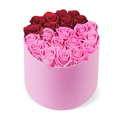 From Brent Cross Flowers, a floral stylist's eye sees this piece as modern romance embodied in velvet and light. The pastel pink hatbox sits centrally, its soft exterior inviting the fingertips, a tactile preface to the blooms inside. Dozens of roses fill the box to the brim, heads fully open, their petals layered to reveal a delicate glow. The top portion holds roughly twelve deep crimson roses, arranged in a curved crescent that suggests a heart's gentle contour. The lower half overflows with abundant fuchsia pink roses, a burst of color that grounds the composition with warmth and cheer. The box's clean lines and the absence of visible foliage emphasize the roses themselves, a testament to premium, fresh-cut quality that speaks of careful sourcing from trusted growers. The scent is a refined rose aroma, not overpowering, just enough to lift a room and communicate intent. This gift feels both celebratory and refined, a stylish addition to any coffee table or mantel, and it travels with the same assurance as our Brent Cross same-day delivery service, reaching nearby Cricklewood, Golders Green, and beyond in pristine condition. Crafted with attention to spacing and bloom angle, it sits as a quiet, uplifting focal point-an invitation to pause, notice, and feel cared for.