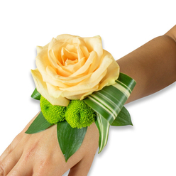 This wrist corsage is an exercise in quiet harmony: a single large peach-tinged rose claims the centre, its soft, layered petals unfolding like a small sunrise. Beside it, two vivid lime-green button chrysanthemums punctuate the arrangement with cheerful, tactile contrast-each pom-pom a compact burst of texture that makes the rose's softness sing. The flowers are seated on a foundation of rich green foliage; broad, deep-hued leaves provide a stable, sculptural base while a variegated strip of leaf, streaked with pale bands, is artfully curled to create a sweeping, contemporary flourish that follows the line of the wrist. Photographed against a crisp white backdrop, the colours read clean and luminous, and the skin beneath-light to medium in tone-adds warmth and human scale. The fastening is intentionally inconspicuous so the focus remains on floral form and touchability, suggesting the piece was made to be worn through a day of ceremonies, photographs, and small-town streets. I imagine this corsage tucked into pockets of life around Brent Cross-stepping from a car near the shopping centre, pausing for last-minute blooms at a stall on Cricklewood Broadway, or waiting for a carriage at Hendon Way-an elegant, tactile promise of celebration for prom, wedding, or a cherished anniversary among local neighbours.