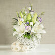 In this light-filled image, a sophisticated bouquet sits on a smooth white surface, perfectly composed for a modern Brent Cross celebration or a refined home interior. The main focus is a cluster of open white lilies, their petals broad and satin-like, curling gently at the tips as they radiate outward from softly speckled centers. Golden-orange stamens rise proudly from each bloom, providing a gentle contrast to the cool white petals. Around them, lisianthus flowers in white with delicate lavender and violet edging add a romantic touch, their ruffled petals layered like fine fabric. Some of the lisianthus remain in tight buds, adding vertical accents and hints of fresh blooms to come. Fine strands of dark green foliage meander through the bouquet, joined by airy sprays of tiny white flowers that resemble gypsophila, giving the arrangement a light, almost cloud-like quality. Tucked in among these softer details are small, vivid clusters of deep blue and purple blossoms that add surprising depth and richness, much like shadows under the bridges and walkways near Brent Cross. All the flowers are gathered in a round, bulbous vase made from carefully woven white strands, creating an open, basket-inspired design that feels both modern and handcrafted. This vase is placed on a seamless white plane that highlights the crispness of the colours. Off to the left sit two decorative spheres of different sizes, formed from pale woven material that echoes rattan or bamboo, bringing warmth and texture. Behind everything, a neutral beige background with a subtle vertical weave keeps the focus entirely on the bouquet. The arrangement exudes freshness, poise, and quiet celebration, making it an ideal floral accent for weddings, anniversaries, or peaceful sympathy tributes around Brent Cross.