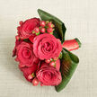 Resting on a gently creased, light beige fabric that resembles soft linen or fine burlap, this hand-tied bouquet looks as if it has just been placed on a side table in a Brent Cross living room. At its heart, five to six deep red roses are clustered together, their velvety petals unfurling in tight spirals that create a sense of fullness and depth, each bloom embodying classic romance. Nestled between them, small, pearl-like hypericum berries glisten in a vivid red, slightly brighter than the petals, catching the light and adding a festive, textural counterpoint. Enveloping the blooms, wide, dark green tropical leaves are folded and curled just so, forming a sleek, sculpted frame that supports the bouquet while giving it a contemporary, almost architectural character. The stems are expertly wrapped in a smooth, matching red satin ribbon, its gentle shine echoing the lush surface of the roses and providing a comfortable, elegant handle. Soft, even lighting washes across the arrangement, enhancing the intensity of the reds and the richness of the greens without overwhelming glare, so every curve and contour is clearly defined. This bouquet feels serene and intentional, ideal for quieter romantic moments: perhaps carried by a minimalist bride at a registry office ceremony near Brent Cross, presented as a heartfelt anniversary gift in a home off the North Circular, or used as a sophisticated centrepiece during an intimate dinner. The overall impression is one of balance and care-structure meeting softness, passion guided by thoughtful design, crafted by a florist who knows how to bring tenderness into everyday Brent Cross life.