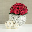 In this photograph, a lush cluster of red roses forms a rounded, almost sculptural bouquet, set against a gentle beige background that reminds one of softly lit interiors around Brent Cross in the late afternoon. The roses are a rich crimson, with a velvety finish to their petals that suggests depth and warmth. Some of the blooms are tightly furled, their petals wrapped snugly, while others are just beginning to open, revealing intricate spirals that draw the eye inward. Between the rose heads, small bright red berries, similar to hypericum, are threaded thoughtfully, their glossy surfaces adding a playful sparkle and gentle contrast in size and shape. Encircling the base of the arrangement is a smooth collar of dark green leaves, fanning outward evenly and providing a visually grounding element, as though cradling the passionate reds in calm greenery. The bouquet is anchored in a striking white vase made from slender, intertwined strips resembling wicker or branches, woven together into an airy, open lattice that feels both rustic and chic. This unique container, reminiscent of curated pieces you might find in home stores near Hendon or along the North Circular, casts delicate shadows and adds architectural interest to the scene. On the spotless white surface in front of the vase, two cream-coloured decorative spheres crafted from flat wooden ribbons continue the woven theme. The larger sphere is placed prominently in the foreground, while the smaller one sits slightly behind and to the right, subtly guiding the viewer's gaze. The background's soft, fine-grained texture, like linen or light fabric, keeps the focus on the rich reds and clean whites, creating an overall impression of polished romance and quiet celebration, ideal for wedding décor or intimate gatherings in Brent Cross.