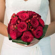 The image presents an elegant, hand-tied bridal bouquet composed of rich red roses, accented with clusters of glossy red hypericum berries, all gathered into a rounded, compact shape. The roses are in full bloom, their petals unfurling in perfect spirals that create a sense of movement and depth, each flower appearing dense and velvety, with subtle shading from dark ruby at the centre to slightly brighter red at the outer petals. Between the roses, the hypericum berries sit on delicate stems, smooth and polished as if lightly lacquered, catching highlights that bring a touch of sparkle to the arrangement. Around the base, folded aspidistra leaves form a tailored green collar, strong and architectural, their deep emerald surfaces slightly gleaming, giving the bouquet a sense of structure and balance. This contrasting ring of foliage frames the passionate reds with a calm, grounding presence. The bouquet is photographed close up, likely against the pale fabric of a wedding dress, so the colours stand out vividly against the neutral backdrop. One can imagine the soft, familiar fragrance of garden-fresh roses, mingling with the crisp scent of greenery, following the bride as she walks through the streets of Brent Cross toward a ceremony in a nearby hotel or synagogue. Created by Brent Cross Flowers, it feels like the work of florists who know how to blend tradition with modern style, crafting a bouquet that is both theatrical and intimate, ready to be held tightly during vows and then admired on the top table as the celebrations unfold into the evening.