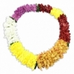 A single circular lei, rich with colour and emotion, is laid flat at the centre of a stark white background, its form perfectly shaped as if it could be gently lifted and placed around a photograph, urn, or memorial candle. The garland is composed of small, densely layered blossoms resembling tiny chrysanthemums or carnations, strung so closely that the surface appears thick, plush, and gently undulating. The colours are arranged in five clear segments that flow into one another in a quiet, measured rhythm. Starting at the top, a striking stretch of fuchsia and deep magenta flowers catches the eye, before deepening into a segment of dark maroon and cranberry-red, creating a contemplative, heartfelt mood well suited to a farewell tribute. The tones then soften into a golden-orange band, glowing like late-afternoon light falling across the rooftops near Brent Cross. This is followed by a bright lemon-yellow section that adds hope and brightness, suggesting cherished memories that continue to shine. A crisp band of pure white blooms closes the sequence before the colours loop back to fuchsia, completing the circle with gentle symmetry. Every segment is equally packed with blossoms, creating a rounded, almost pillowed texture that suggests a comforting presence. Tiny glimpses of dark green separators or thread can be seen in places, hinting at discreet structure without drawing focus away from the petals. A faint, soft-edged shadow beneath the lei gives depth, making it appear raised from the background rather than flat. The overall impression is of a thoughtfully crafted Hawaiian-inspired funeral tribute, the kind of piece a Brent Cross Flowers florist might prepare for a family wishing to celebrate a life with both colour and quiet grace.