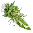 This is a vertically oriented, elongated floral sheaf photographed on a clean white background, designed to read like a graceful cascade from the top-left down to the bottom-right. At its heart sit multiple creamy white Calla Lilies, their smooth, trumpet-shaped blooms arranged with sculptural intent so some face outward in full bloom while others nestle as tighter buds; their waxy petals catch soft studio light and suggest a cool, quiet dignity. Surrounding the lilies is a rich, layered selection of foliage: broad, glossy deep-green tropical leaves form the structural base and have been gently folded and wrapped to give volume; one large leaf provides a strong backing along the lower right while another is artfully curled near the upper left. Among these, variegated green-and-white striped leaves lift the middle register with lively contrast, and feathery emerald fern fronds peek through to soften the composition and add an airy, woodland texture. Fine, grass-like blades arch outward, introducing graceful lines and a sense of movement, while clusters of small, pale green sprigs offer a frothy fill between larger forms. A textured off-white linen-style bow is tied at the upper left, its soft loops echoing the lilies' curves and lending a natural elegance. The arrangement carries a subtle fresh-green fragrance and an overall mood of calm, refined sympathy - suitable as a memorial tribute or a dignified decorative accent. As a local florist in Brent Cross, we often place pieces like this at services near Gladstone Park and the Brent Reservoir, where the quiet palette and clean design resonate with places of remembrance and gentle reflection.