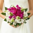 A close-up bridal photograph shows a woman in a white lace wedding gown cradling a round, hand-tied bouquet bursting with rich, magenta peonies and crisp white alstroemeria, captured in soft, natural light. The peonies sit at the heart of the arrangement, their densely layered, ruffled petals unfurling in deep fuchsia tones that look almost velvety to the touch, creating a plush, luxurious dome of colour. Threaded between these bold blooms are clusters of white Peruvian lilies, each trumpet-shaped flower marked with fine maroon speckles and subtle striping in the throat, adding delicate pattern and a sense of movement. Slender, spiky green buds-likely Ornithogalum or another modern filler-push up through the composition, their fresh lime-green tips adding height, texture, and a lively contrast against the rounded peony heads. Surrounding the flowers, broad, glossy dark green leaves form a neat collar, framing the bouquet and defining its perfectly compact, modern shape. The bride's hands, with neatly manicured nails painted a soft blush pink, rest just below the blooms, fingers gently curled around the stems and satin ribbon. Behind the bouquet, the gown's lace overlay and subtle beading create a soft, almost cloud-like backdrop, blurring into creamy whites and ivories so that the flowers appear to glow. The mood is joyful and romantic, the kind of bouquet a Brent Cross bride might carry as she steps out of a local church or registry office, perhaps after a morning of quiet preparations at home near the shopping centre. It's an image that evokes the scent of fresh petals, the rustle of tulle, and the quiet excitement of a wedding day in North West London.