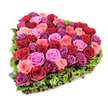 A densely packed, heart-shaped floral tribute photographed against a pure white background and shown from a slightly elevated angle so the full, plush form is visible. At the centre a luxurious mosaic of garden roses creates the heart: deep, velvety crimsons and burgundies sit beside soft pastel pinks, bright fuchsia flashes and richer purplish-magenta tones, each bloom either tightly furled or gently unfurling to reveal layered, velvety petals. The surface reads as a tactile carpet of roses, petal edges catching the bright, even light that highlights subtle veining and the dewy texture of fresh flowers. Framing the composition is a fine, verdant border of deep green foliage-delicate carnation-like leaves or mossy sprigs-that crisply defines the heart's outline and gives a living frame to the colour fields within. Tiny dark red or burgundy berry accents and small filler blossoms are tucked into the greenery, adding shadowed depth and a hint of woodland detail. The arrangement's overall mood balances exuberant romance and comforting tenderness; it suggests the scent of warm roses and the gentle weight of blooms gathered with care. This floral heart reads equally as a romantic declaration, an elegant anniversary gift, or a solemn floral tribute for remembrance, and its clean photographic presentation makes the colours sing. A local florist in Brent Cross might recommend this piece for occasions where the language of roses-devotion, memory, celebration-is needed in equal measure, whether delivered to a Hampstead Road flat or left at a nearby chapel in tribute.