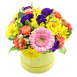 This photograph showcases a lively hatbox flower arrangement that seems tailor-made to brighten a Brent Cross living room or office reception. The container is a soft lime-green round hatbox, patterned with dainty pastel blue and white polka dots, giving it a sweet, playful charm reminiscent of cheerful gift packaging. Out of this box spills a tightly composed dome of blooms, the flowers so closely clustered that they form a continuous carpet of colour and texture. At the forefront, a large pink gerbera daisy acts as a central star, its many fine petals arranged in an almost perfect circle around a gentle green centre, creating an immediate point of focus. Around this gerbera, clusters of small, sunny yellow chrysanthemums or daisies are dotted, their open faces and slim petals lending a bright, optimistic mood to the whole design. Coral and orange carnations flow around and between the yellows, their softly ruffled petals adding depth and a sense of layered richness, like waves of colour rolling around the arrangement. Tucked amongst these are deep purple lisianthus flowers, their velvety, cup-like blooms lending a luxurious contrast that draws the eye deeper into the composition. Fresh greenery, some of it variegated with pale edges, pokes through here and there, framing the blossoms and enhancing their natural beauty. The pure white background strips away any distraction, highlighting the careful craftsmanship and the interplay of tones. This hatbox arrangement feels ideal for birthdays, congratulations, or get well wishes delivered around Brent Cross, offering a compact but impactful burst of colour and care that would look at home on a bedside, coffee table, or work desk.