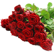 A generous sweep of crimson roses is laid out horizontally on a pure white background, resembling a finished bouquet waiting to be wrapped in a Brent Cross flower shop. Around two to three dozen long-stemmed roses are arranged side by side, their stems aligned in a subtle cluster that is mostly hidden by the mass of overlapping blooms. Each rose is rich in detail: velvety petals spiral inward to shadowed centres or open wider to show lush, layered whorls that catch the light. The colours range within a deep red palette, from wine-dark tones at the core to slightly lighter crimson on the outer edges, giving the flowers a sense of depth and softness. Some blooms are fully expanded, generous and open, while others remain more compact, promising continued unfolding and adding dimensional interest to the display. Toward the top right, strong green stems and dense, glossy leaves gather, creating a solid green base that supports the swathe of red and threads of foliage that peek between the flowers. The lighting is bright and even, making the white surface beneath seem almost luminous and setting the roses into sharp, elegant relief, as you might see in a carefully styled arrangement destined for a dinner table near Brent Cross station or a celebration in a home off Highfield Avenue. The scene hints at the subtle rustle of fresh greenery and the classic, slightly spicy fragrance of red roses that often accompanies significant occasions. Emotionally, it conveys passionate love, gratitude, and admiration, the kind of bouquet chosen for anniversaries, proposals, or any moment when someone wants their feelings to be unmistakably clear, arranged with care by Brent Cross Flowers.