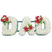 A reverent, three-dimensional floral tribute spelling out the word DAD, each capital letter densely tiled with hundreds of small, pristine white chrysanthemum blooms to create a soft, cloud-like texture. The chrysanthemums' fine, papery petals read as pure and quiet against a bright white background, while the scent is a subtle, clean note that calms the room. Each letter is edged with a narrow, pleated emerald-green ribbon that gives crisp definition and a dignified, almost architectural line to the shapes. Thoughtfully placed clusters bring colour and depth: on the left-hand D a spray of deep red roses-opened to different degrees-pairs with delicate white freesia and glossy green foliage, sitting on the upper curve like a gentle hand laid in tribute. The central A carries a matching cluster near the left diagonal, with a soft loop of verdant leaf adding motion, and the right-hand D mirrors the left with another arrangement of red roses, white freesia and lush greenery. Behind the letters you can just make out slim dark green or black metal support bars, discreetly joining the trio into a stable, cohesive display suitable for a chapel or graveside. Soft, even lighting washes the scene, so the white chrysanthemums glow and the red roses read as warm points of love and remembrance. As a funeral piece this design balances tradition and personal sentiment, combining symbolic blooms-white chrysanthemums for devoted love and red roses for deep respect-into a quiet, resolute tribute for a father or paternal figure in the Brent Cross area.