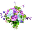 Presented against a spotless white background, this hand-tied bouquet feels both modern and romantic, as if it has just been crafted at Brent Cross Flowers for a special north London delivery. The design centres on generous sky-blue hydrangea heads, their densely packed, ruffled florets creating a soft, billowing core that sets a tranquil, cloud-like tone. Interlaced with this cool blue base are orchids in vivid fuchsia and sumptuous deep purple, their broad petals marked with intricate speckles and vein-like patterns, bringing an unmistakable touch of exotic elegance that stands out beautifully in the composition. Reaching upward and spilling gently outward, slender stems of clematis in deep violet add a sense of height and movement, their starry and bell-shaped blooms giving the bouquet a subtle, garden-inspired wildness, like climbers trailing along a quiet street near Brent Cross and Golders Green. Nestled between these larger flowers, clusters of miniature roses in blush pink and creamy white bring softness and intimacy, each rosette of petals suggesting tender messages, gratitude, and affection. Surrounding and weaving through the blooms, a generous selection of lush green foliage-some leaves broad and glossy, others slender and more delicate-frames the colours, adds structure, and enhances the feeling of freshness. At the base, the visible stems are neatly aligned and securely tied, evidence of a skilled florist's hand and making the bouquet ready to be slipped into a favourite vase. Under gentle, diffused lighting, the interplay of blue, purple, pink, and green creates an atmosphere of elegant celebration and calm beauty, ideal for anniversaries, congratulations, or simply brightening a living room overlooking the vibrant Brent Cross area.