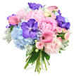 Captured against a pure white background, this hand-tied bouquet looks like a carefully composed celebration, the kind you might send across Brent Cross to mark a cherished moment. The central focus is on several large, fully opened light pink peonies, each bloom overflowing with ruffled, layered petals that create a plush, romantic focal point. Surrounding these are round clusters of powder blue hydrangeas, their countless small florets combining into a soft, cloud-like mass that brings a gentle coolness to the composition. Strategically placed throughout are deep purple Vanda orchids, whose wide petals are richly coloured and decorated with darker speckles, giving the bouquet an opulent, exotic touch that feels both modern and luxurious. Flowing between the larger blooms, sleek fuchsia pink calla lilies add graceful curves, their trumpet-shaped flowers offering a refined, sculptural line and a vibrant accent of colour that lifts the whole design. Nestled in among them, blush pink spray roses gather in charming little clusters, introducing a fine-grained, intricate texture that enhances the sense of detail and craftsmanship. Framing the flowers, a mix of glossy dark green leaves and soft, silvery dusty miller creates depth and contrast, the velvety grey-green tones gently cooling the brighter hues. The stems of the bouquet are gathered at the base and neatly tied, clearly hand-arranged by an expert florist at Brent Cross Flowers. The overall effect suggests elegance, joy, and tenderness, perfect for a bridal bouquet, an anniversary surprise delivered near Brent Cross Shopping Centre, or a meaningful gift to brighten a loved one's day in the surrounding NW2 and NW11 neighbourhoods.