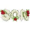A tender, reverent floral tribute spells the word 'SON' in three bold, capital letters formed from a dense carpet of small, pristine white spray chrysanthemums. The blooms are packed so closely that each letter reads like a soft pillow of petals - cool, clean and quietly luminous against the pure white background - evoking a sense of calm and solemn dignity. Fine trails of glossy green ivy weave through and around the letters, their tendrils tracing the curves and angles and lending the composition a living texture; the ivy's deep green suggests endurance and the quiet promise of memory that keeps on growing. Deep, velvety red roses interrupt the white in carefully chosen places: a cluster of three roses nestles into the upper left curve of the 'S', a single, prominent red rose anchors the bottom centre of the 'O' framed by feathery fern fronds, and a vertical grouping of three red roses lines the right side of the 'N'. The contrast between pure white chrysanthemums, lush green foliage and concentrated packs of crimson roses creates a visual rhythm that draws the eye from left to right and holds it at each heartfelt accent. There is a soft, cool floral scent - the faint sweetness of chrysanthemum underlined by the deeper, fruity perfume of rose - and a sense of careful craftsmanship familiar to an experienced florist. Presented for funeral or graveside use, this personalised memorial piece conveys profound love and respectful mourning for a son, offering families a composed and beautiful way to express sorrow and remembrance in a language of flowers, texture and colour.